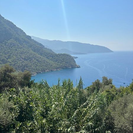 Kabak Armes Hotel Faralya Εξωτερικό φωτογραφία