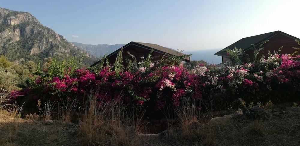 Kabak Armes Hotel Faralya Εξωτερικό φωτογραφία