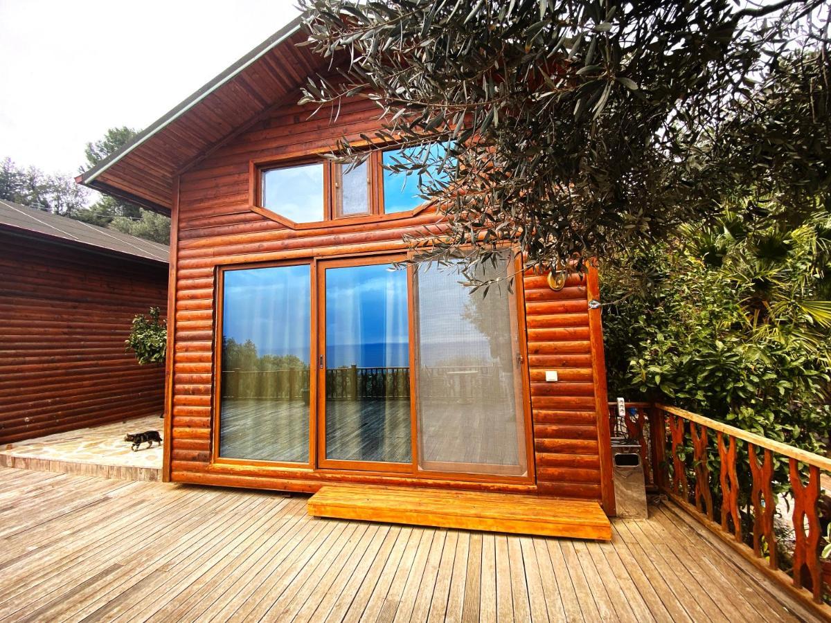 Kabak Armes Hotel Faralya Εξωτερικό φωτογραφία