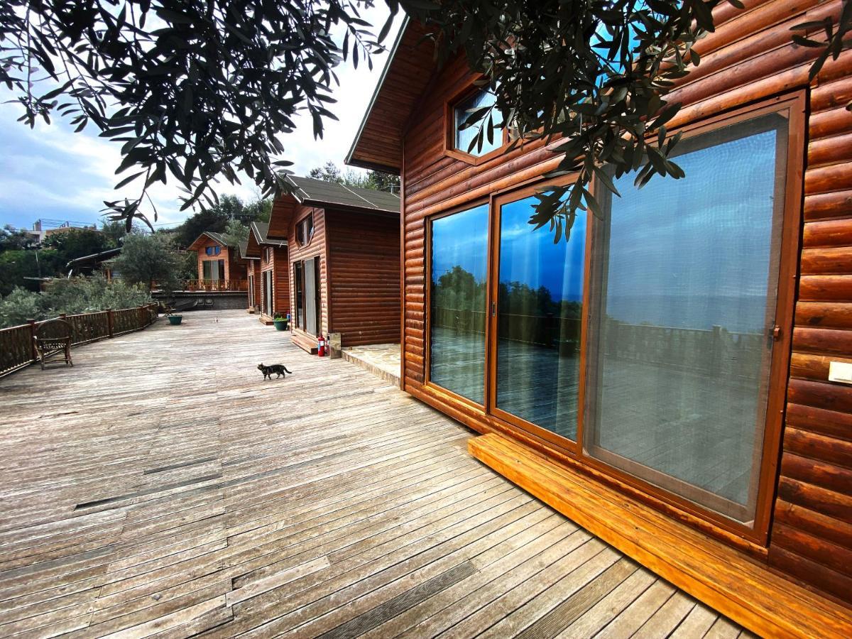 Kabak Armes Hotel Faralya Εξωτερικό φωτογραφία
