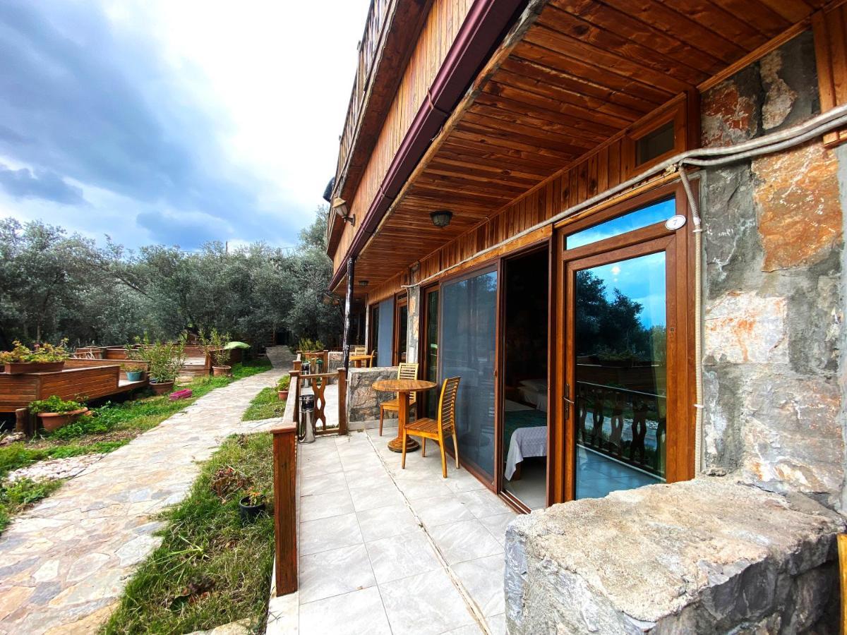 Kabak Armes Hotel Faralya Εξωτερικό φωτογραφία