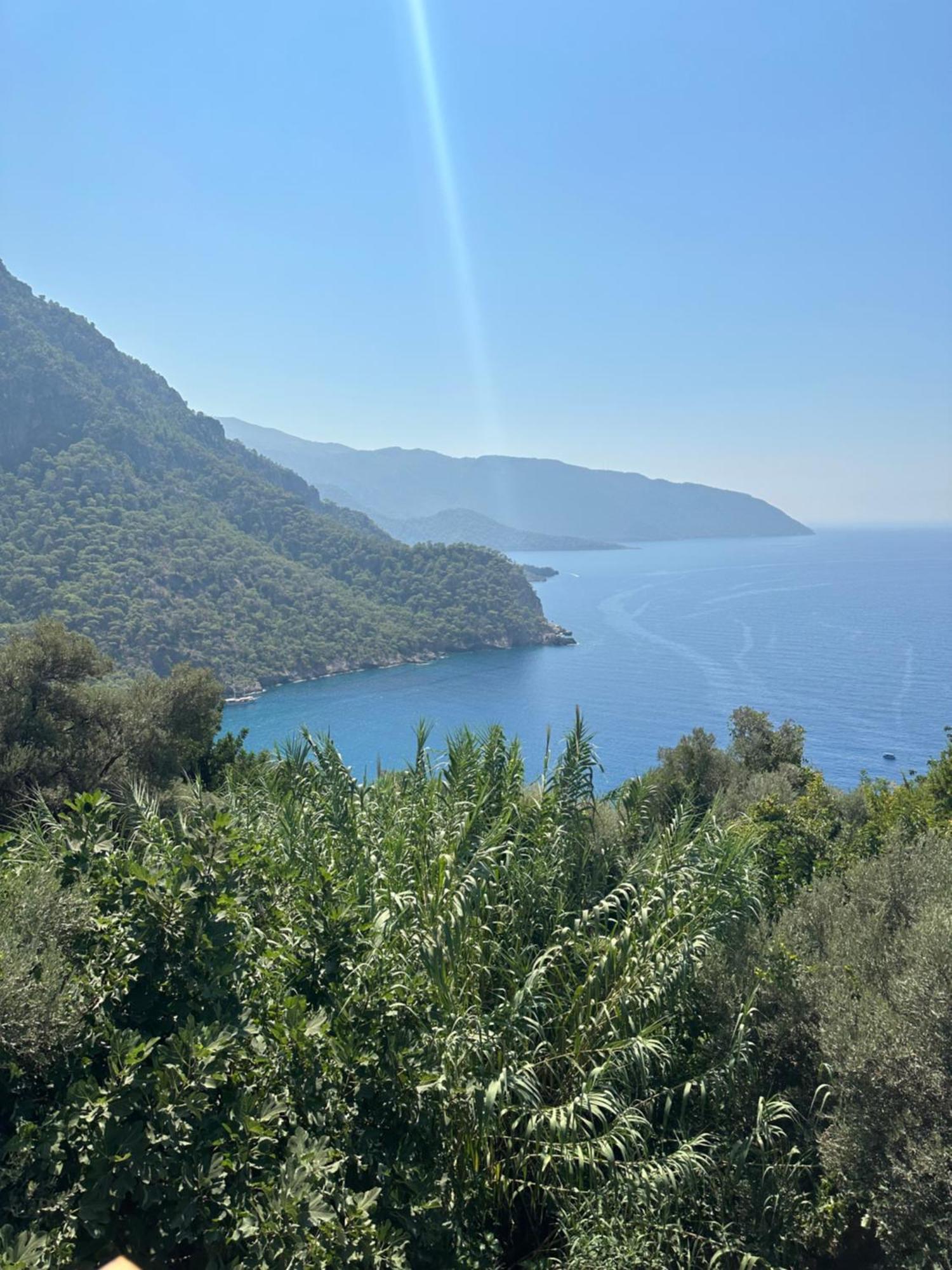 Kabak Armes Hotel Faralya Εξωτερικό φωτογραφία