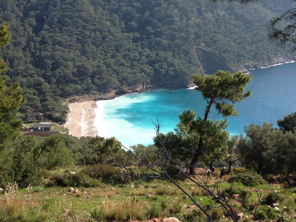 Kabak Armes Hotel Faralya Εξωτερικό φωτογραφία